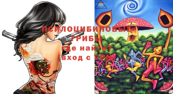 соль ск Алексеевка