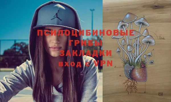 соль ск Алексеевка
